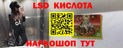 твердый Будённовск