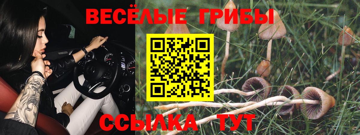 Галлюциногенные грибы GOLDEN TEACHER  Псилоцибиновые грибы Psilocybe  Вход с VPN  Находка 